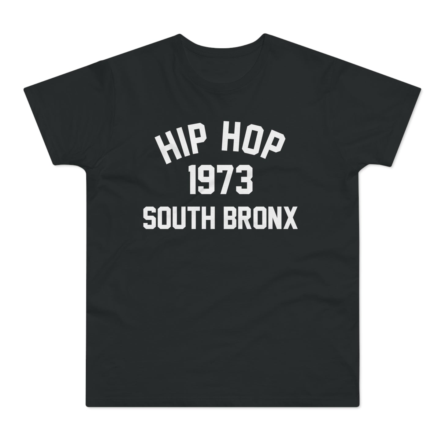 Hip Hop 1973 T Shirt (Poids Standard)