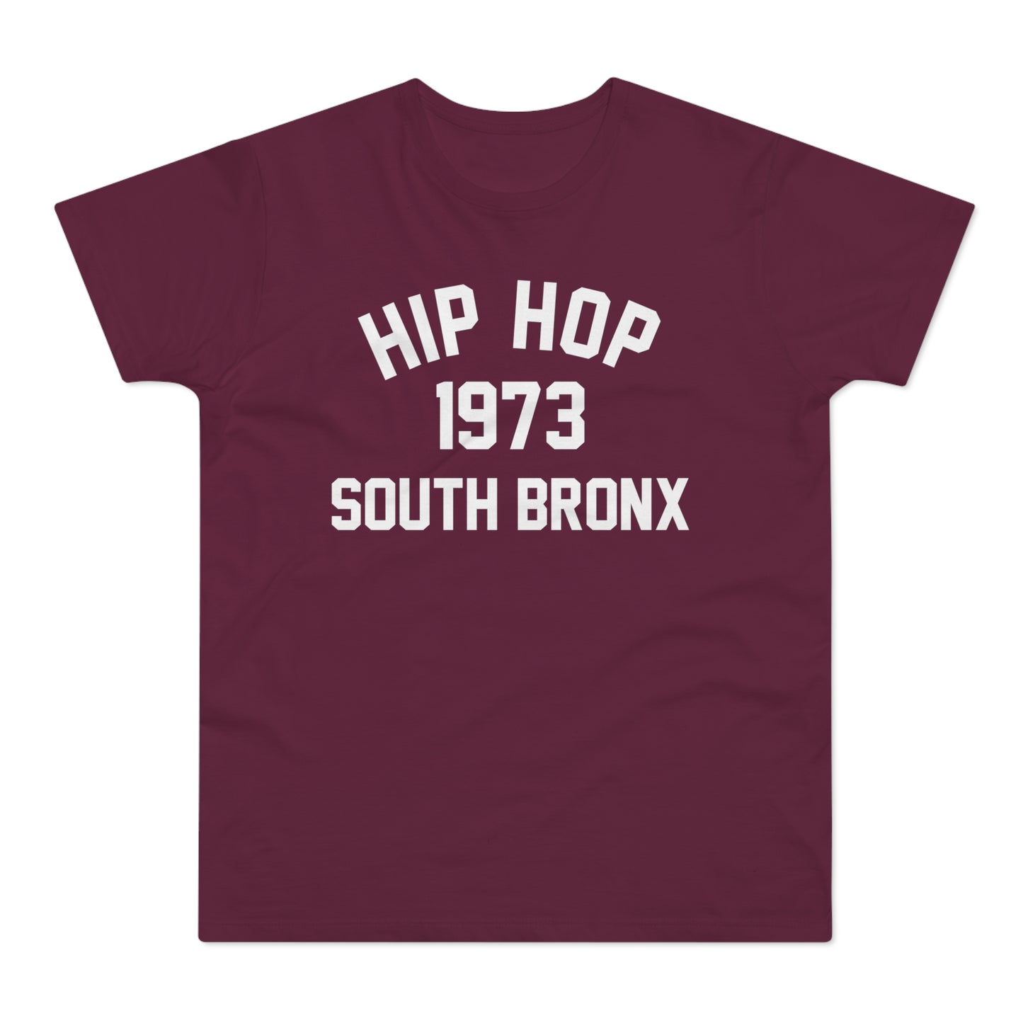 Hip Hop 1973 T Shirt (Poids Standard)